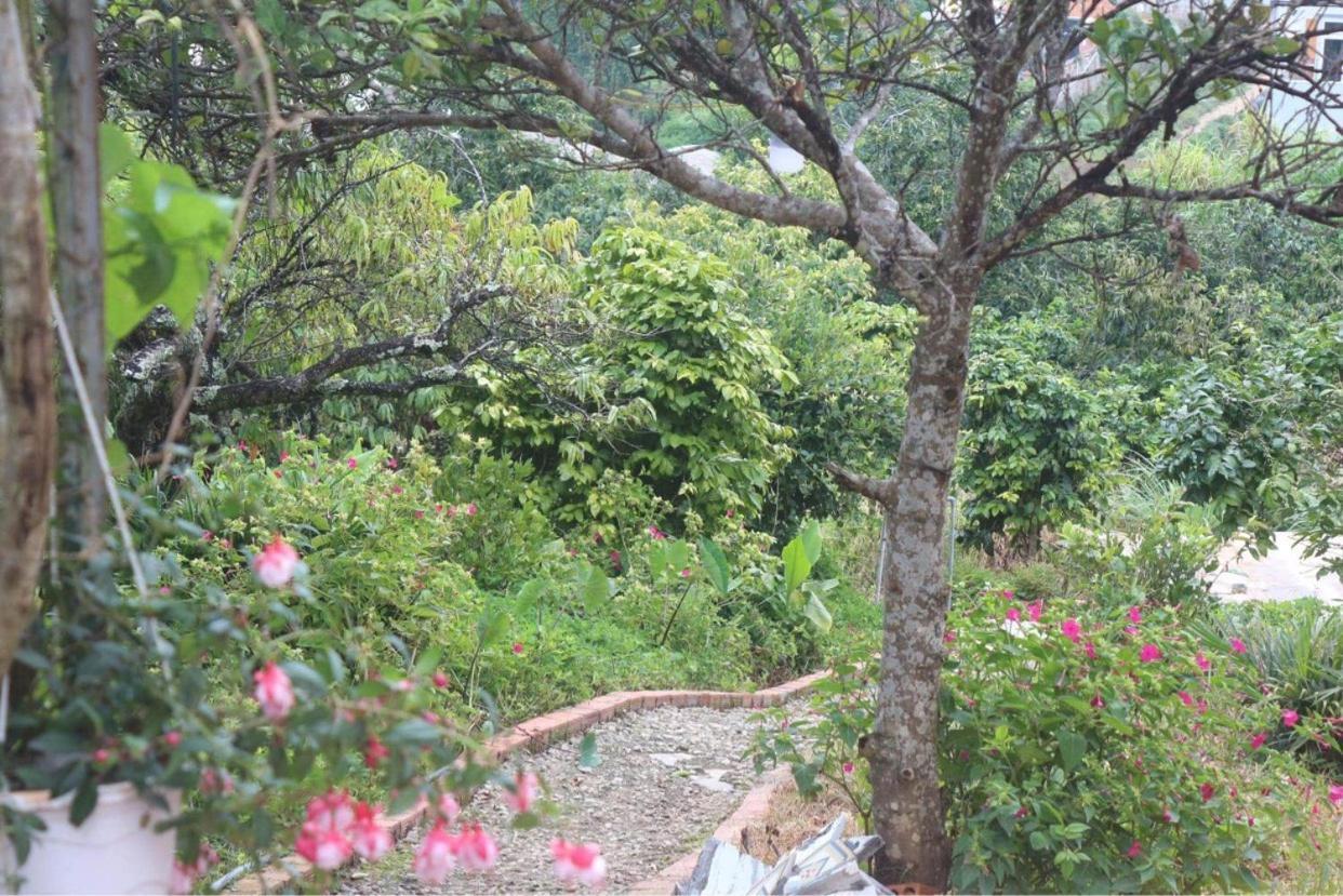 Thang Nam Ruc Ro - Dalat Homestay Buitenkant foto